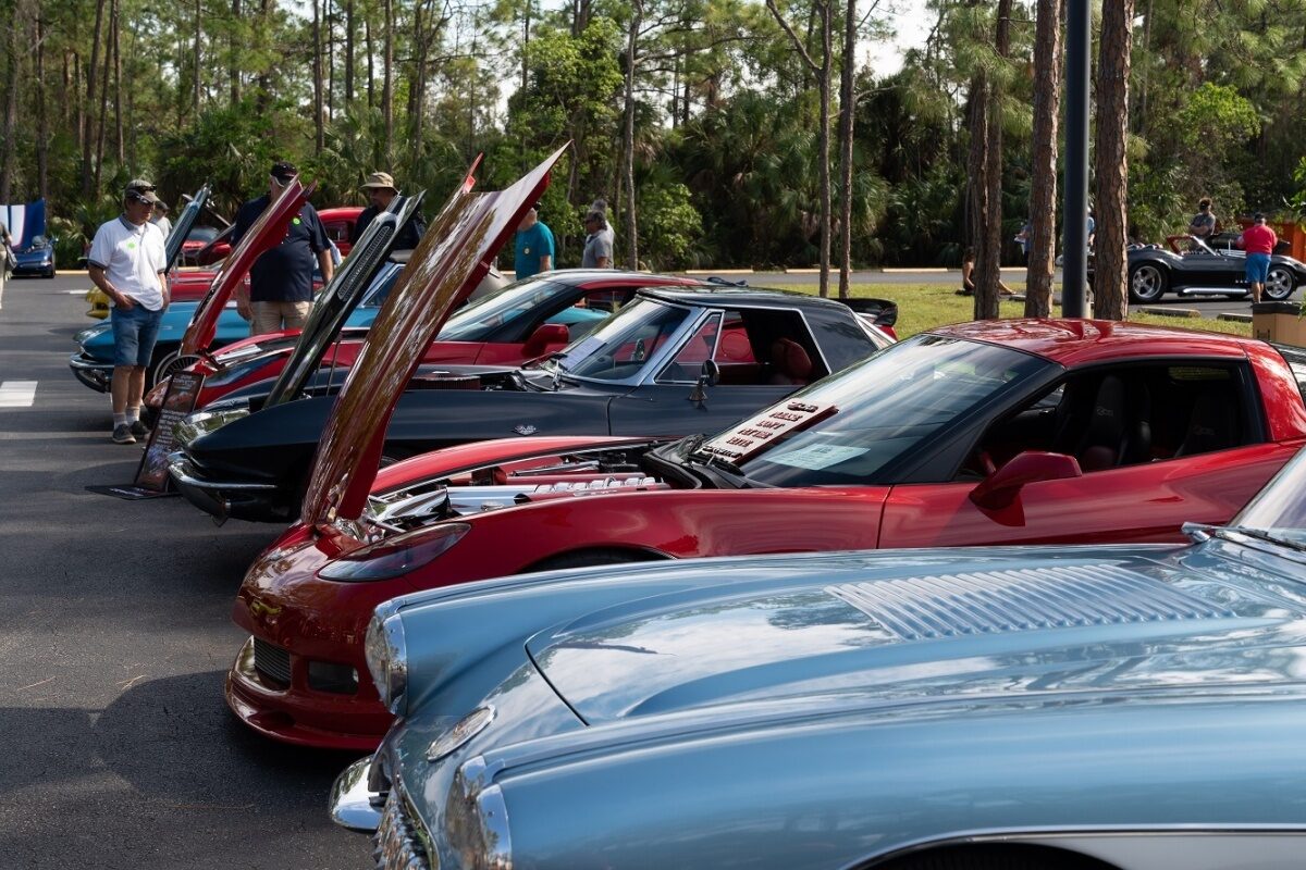 Rookery car show